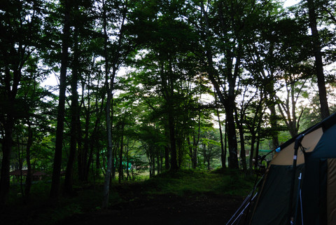 撫岳荘キャンプ場の朝